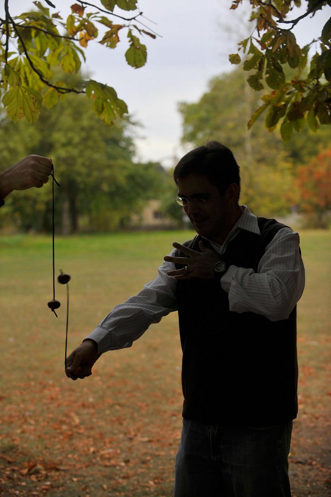 Championship Conkers