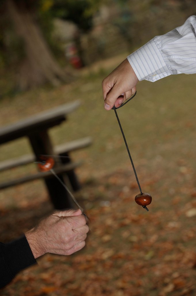 Championship Conkers