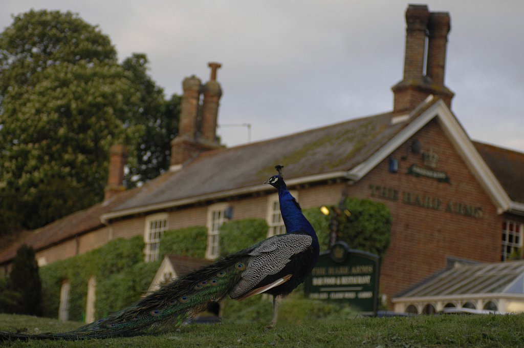 The Hare Arms, Stow Bardolph