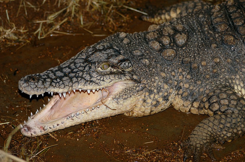 ©Si Barber. Moral rights asserted.