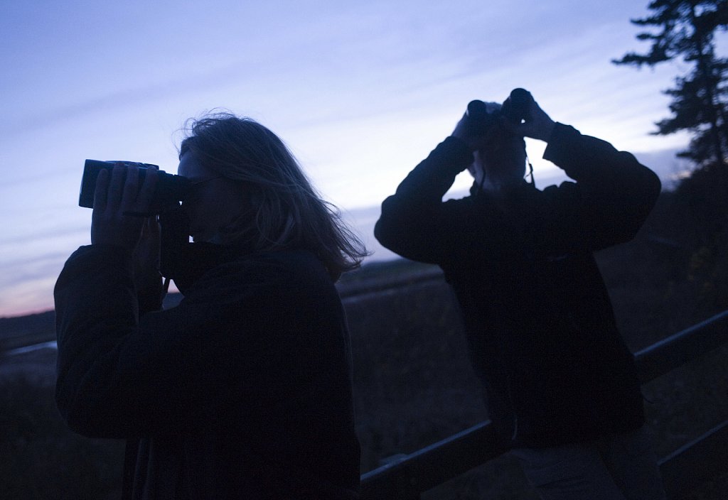 Birdwatching at Snettisham nature reserve.