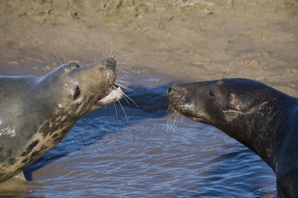 ©Si Barber. Moral rights asserted.