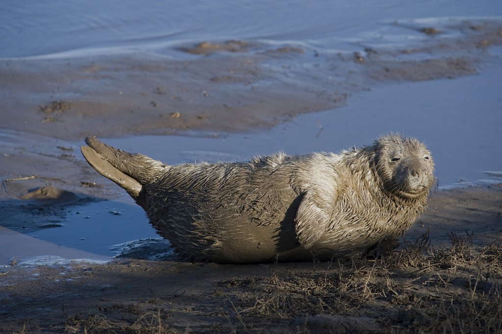 ©Si Barber. Moral rights asserted.