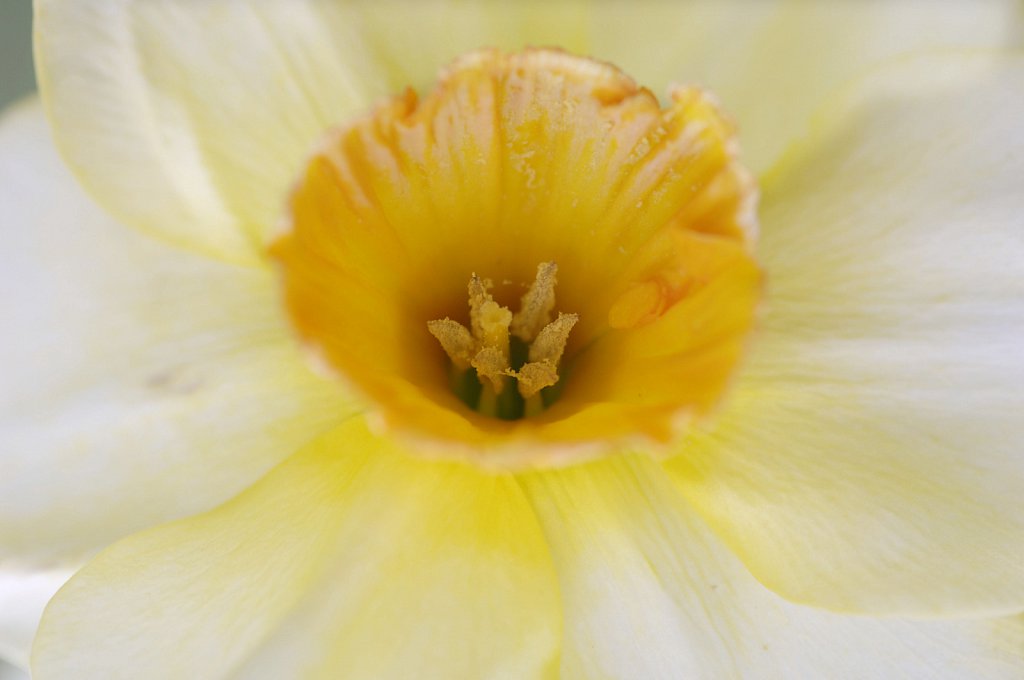 ©Si Barber. Moral rights asserted.