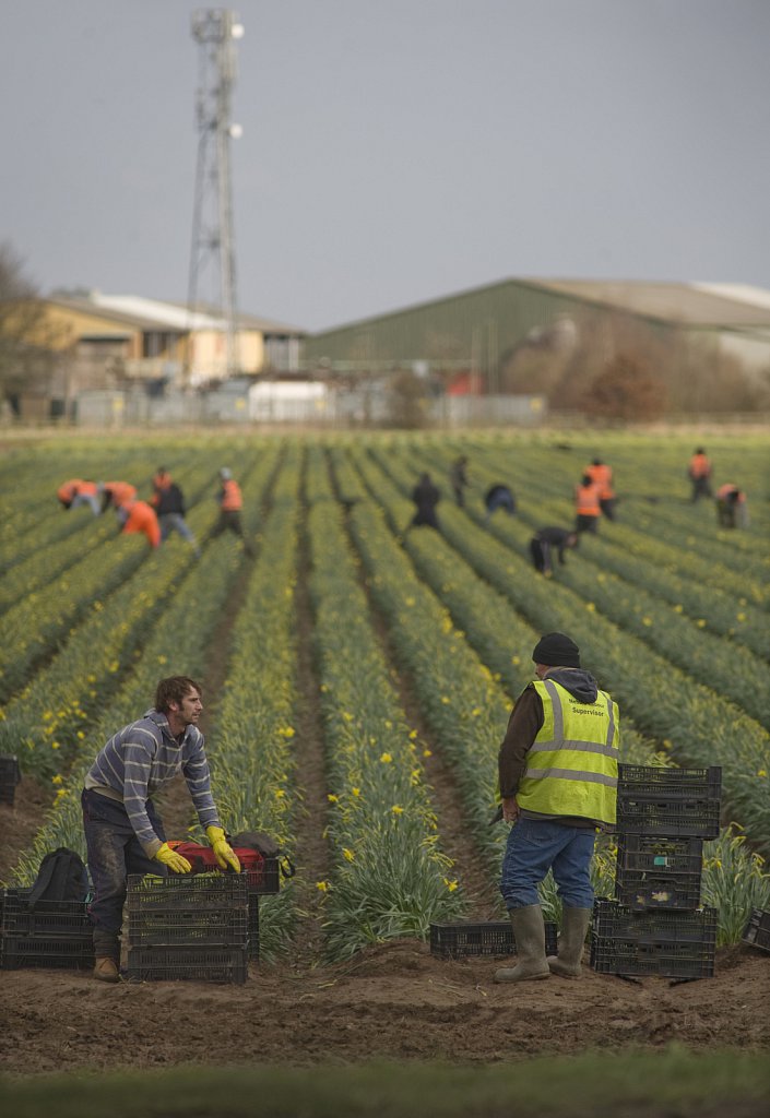 ©barber-migrant-farm-workers-04