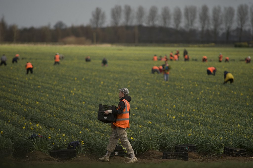 ©barber-migrant-farm-workers_04