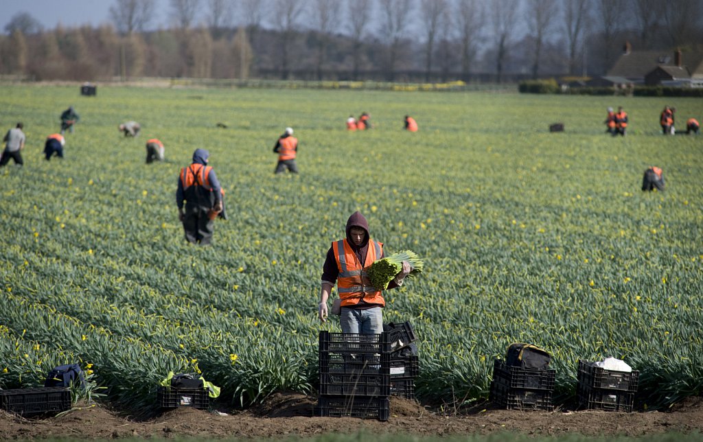 ©barber-migrant-farm-workers-09.jpg