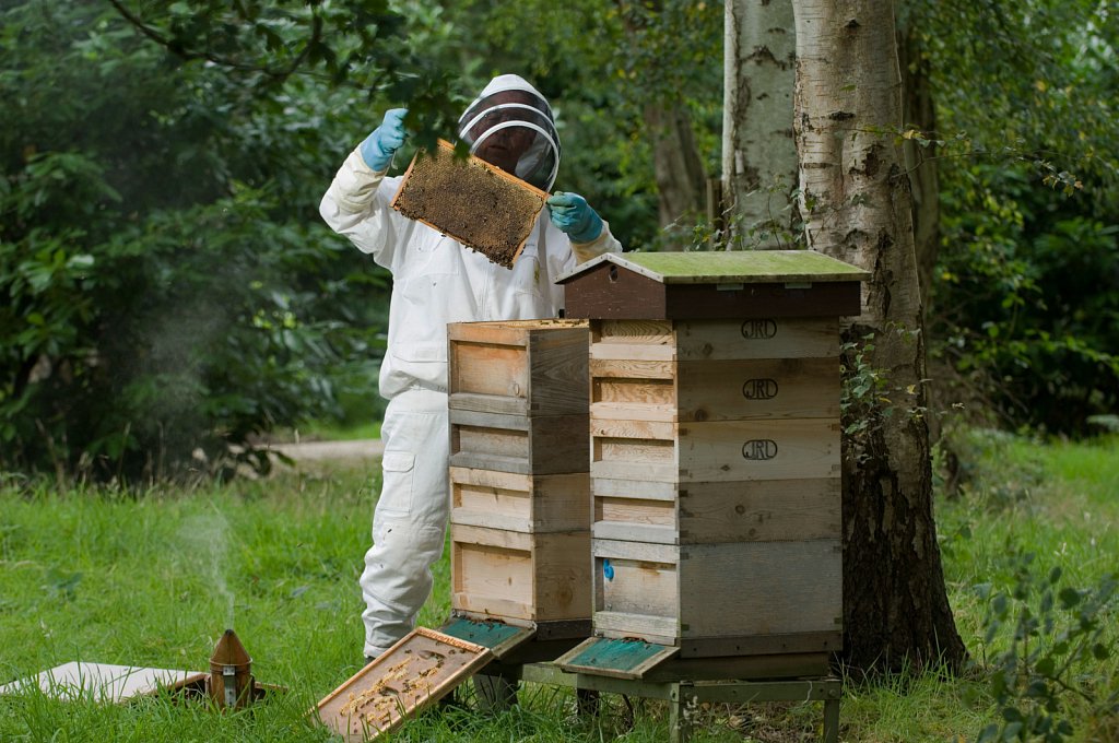 barber-beekeeping12.jpg