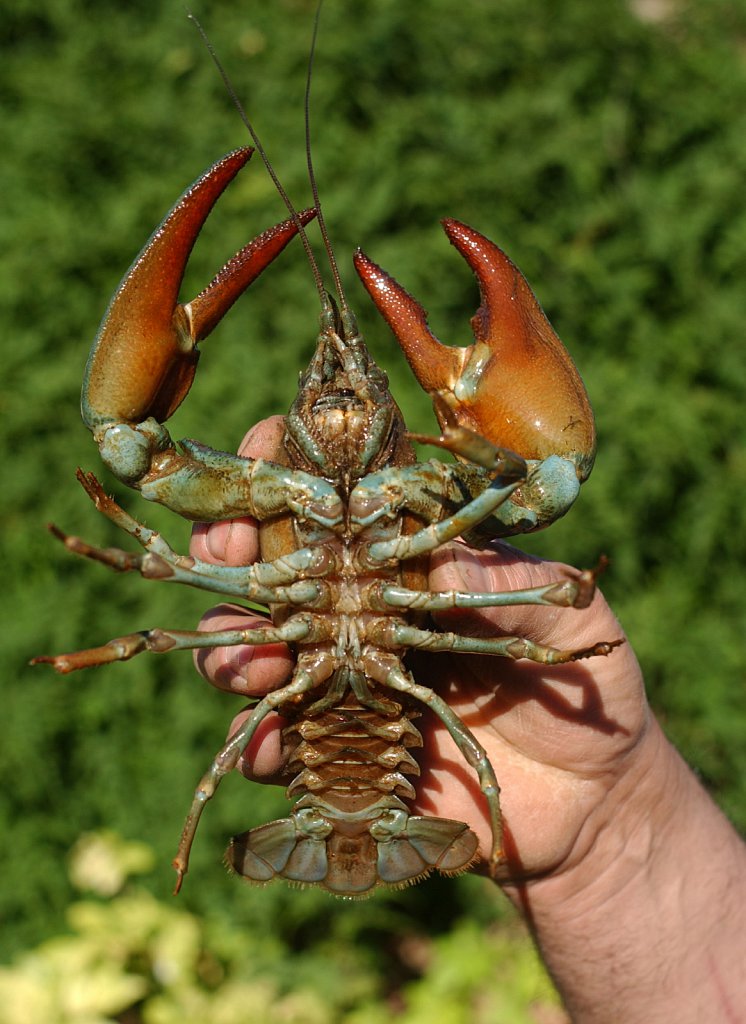 ©Si Barber. Moral rights asserted.