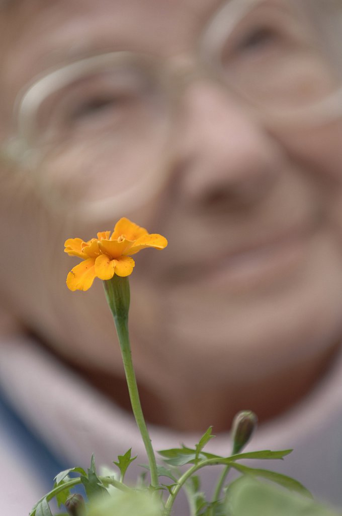 barber-elderly-gardening06.jpg