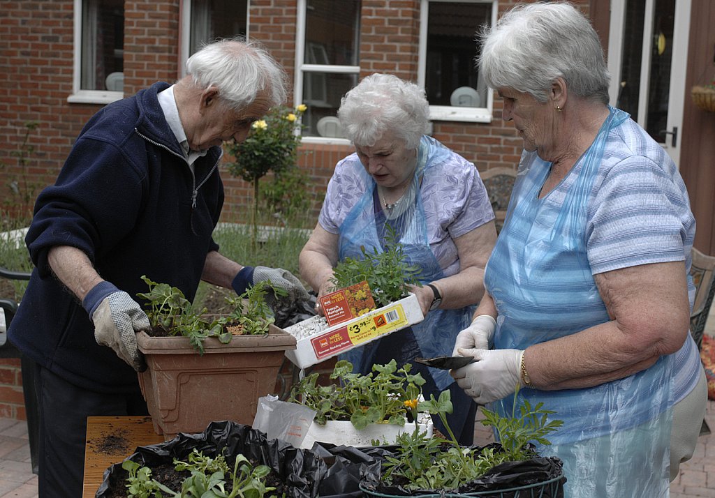 barber-elderly-gardening13.jpg