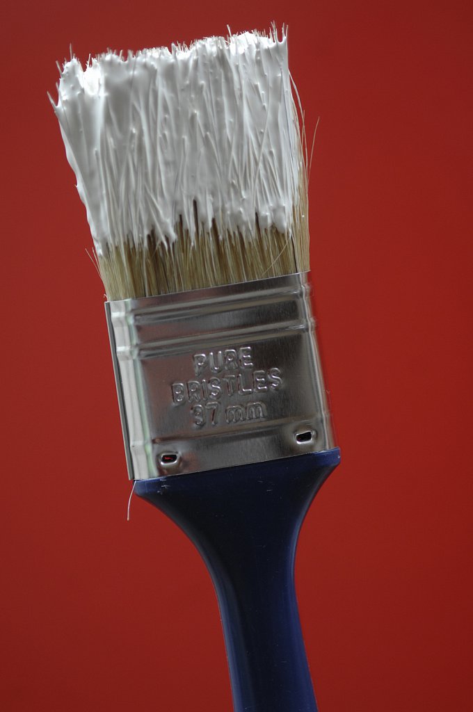 Photograph by Si Barber