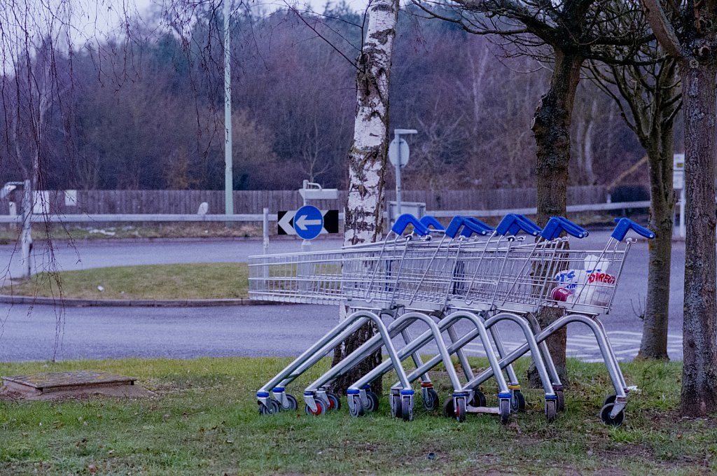 barber-abandoned-trolleys02.jpg