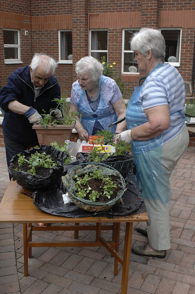 barber-elderly-gardening14.jpg