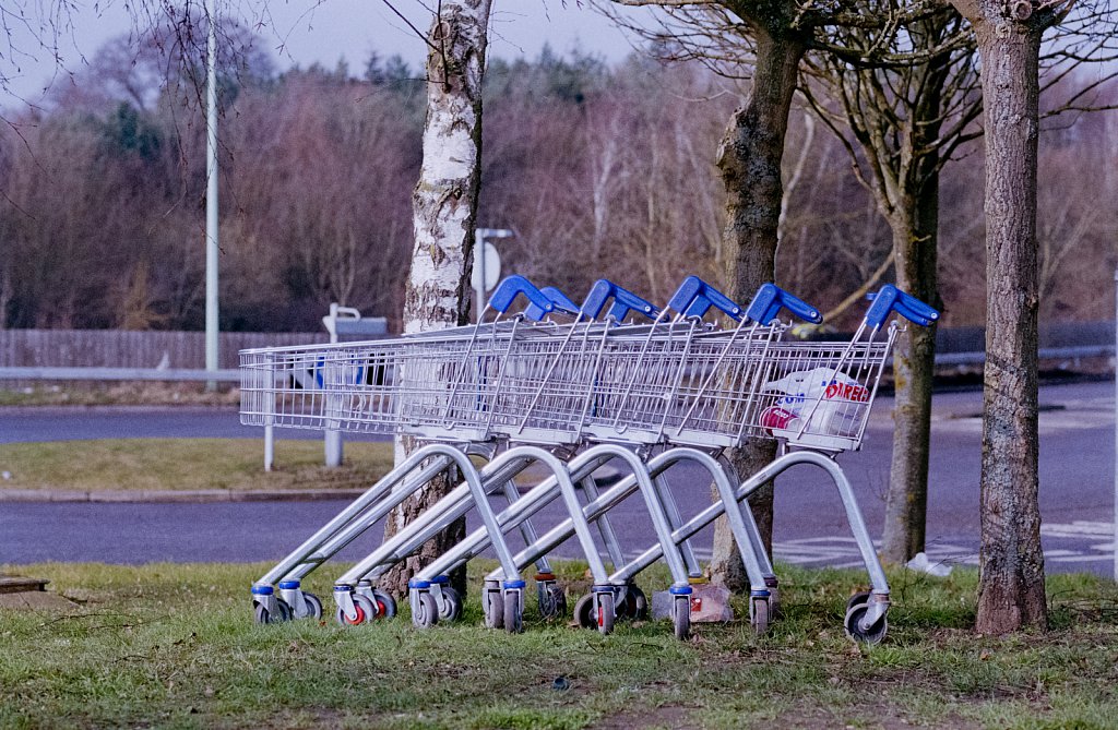 barber-abandoned-trolleys01.jpg