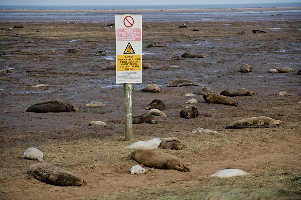 ©Si Barber. Moral rights asserted