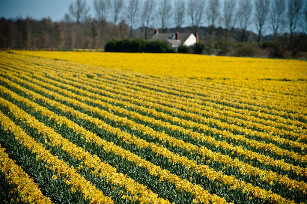 ©Si Barber. Moral rights asserted