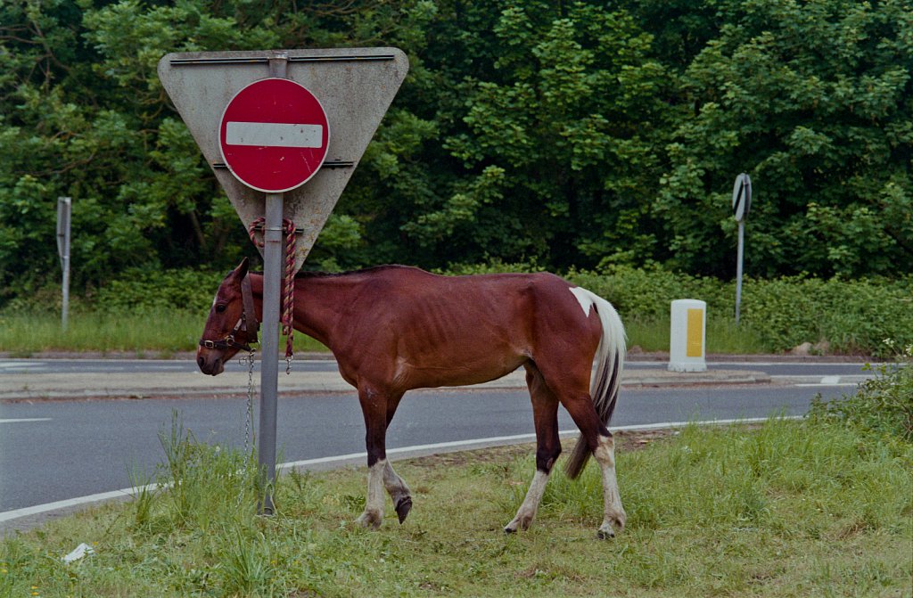 ©Si Barber. Moral rights asserted