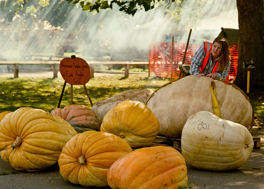 Soham Pumpkin Fair