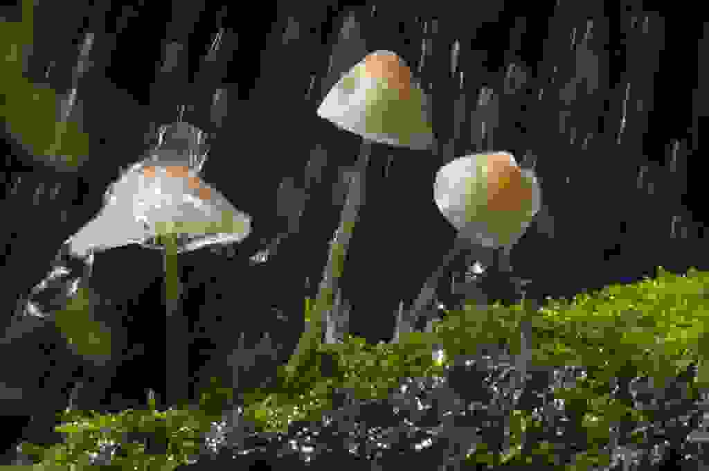 ©Si Barber Moral Rights Asserted 