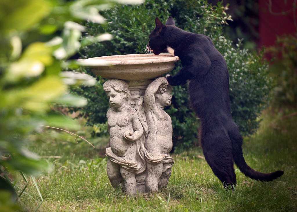 Nature & Environmental