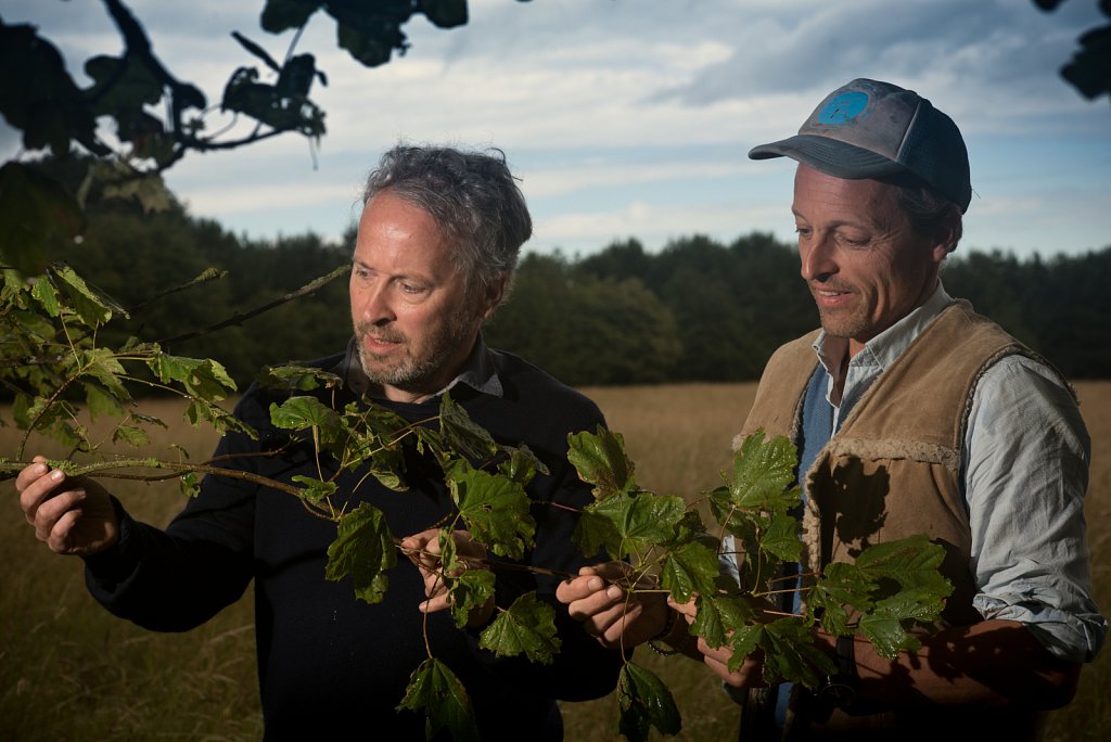 Somerleyton Rewilding