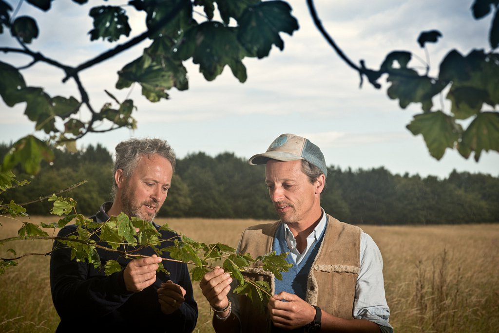 Somerleyton Rewilding