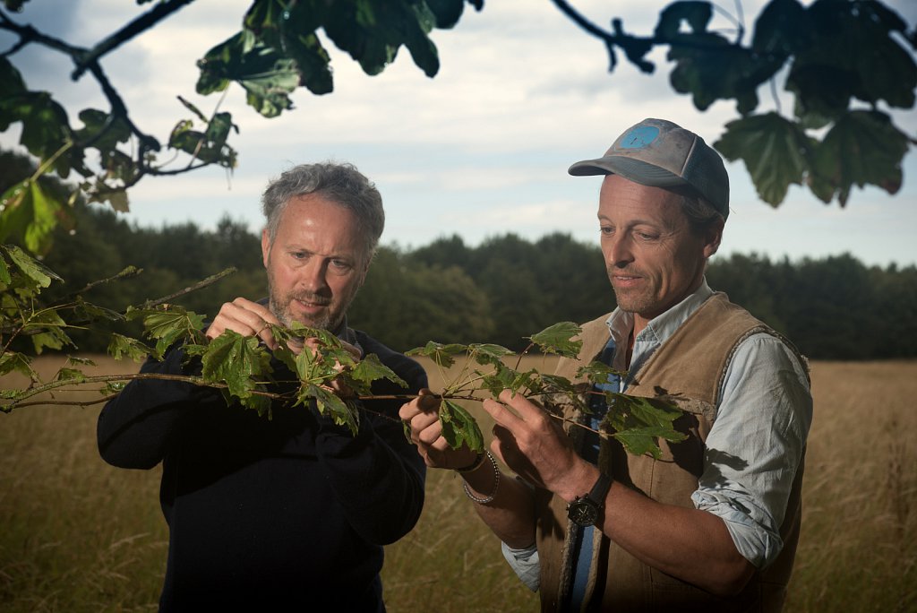 Somerleyton Rewilding