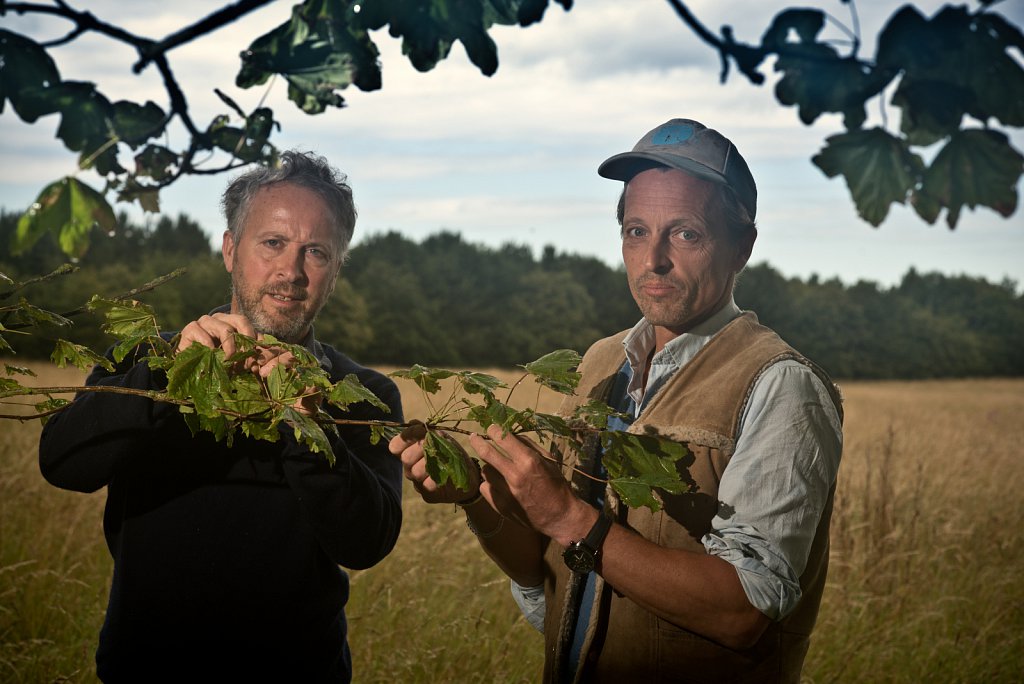 Somerleyton Rewilding