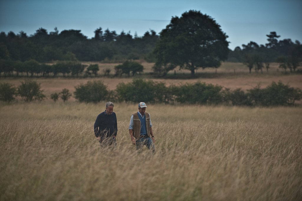 Somerleyton Rewilding