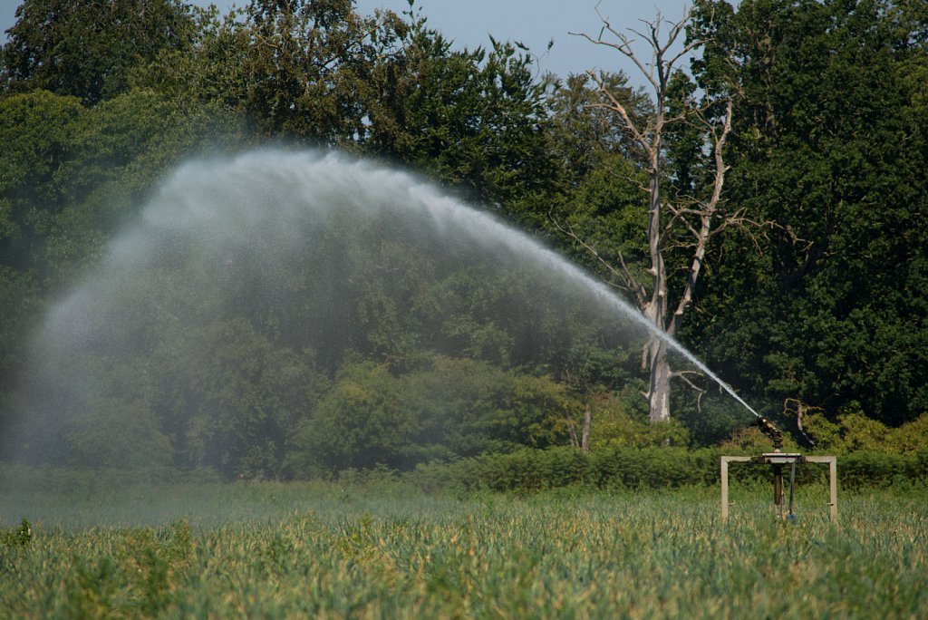 Euston farm drought conditions.