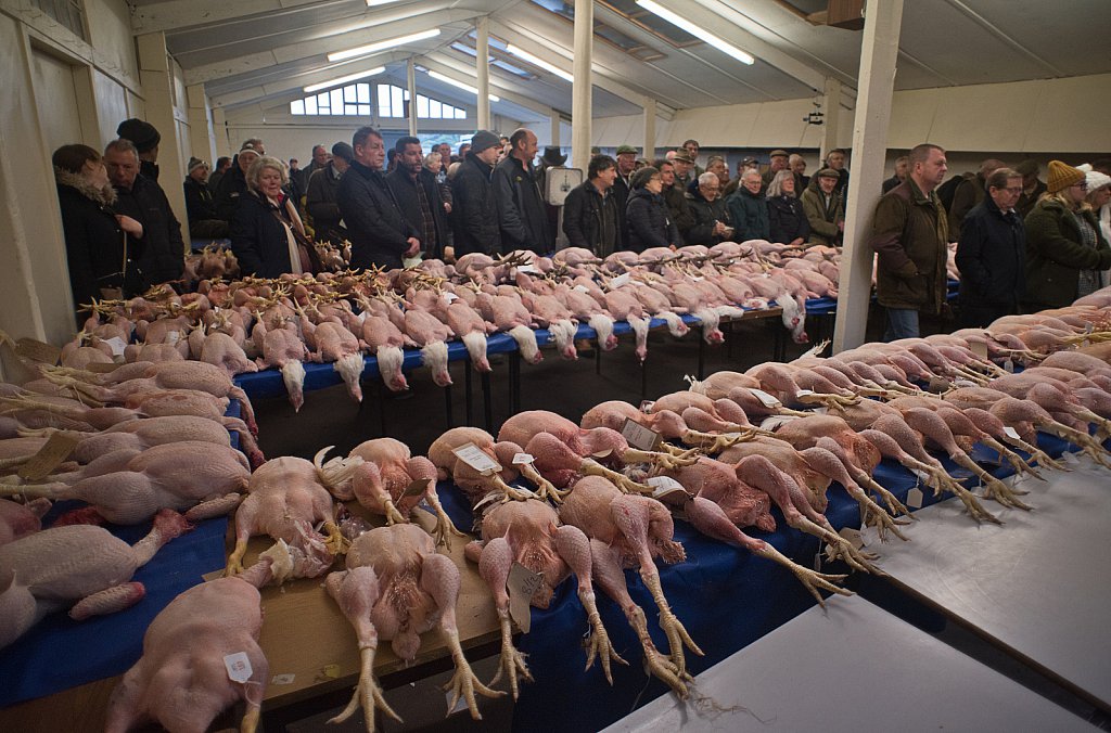 Key's Annual Poultry Auction.