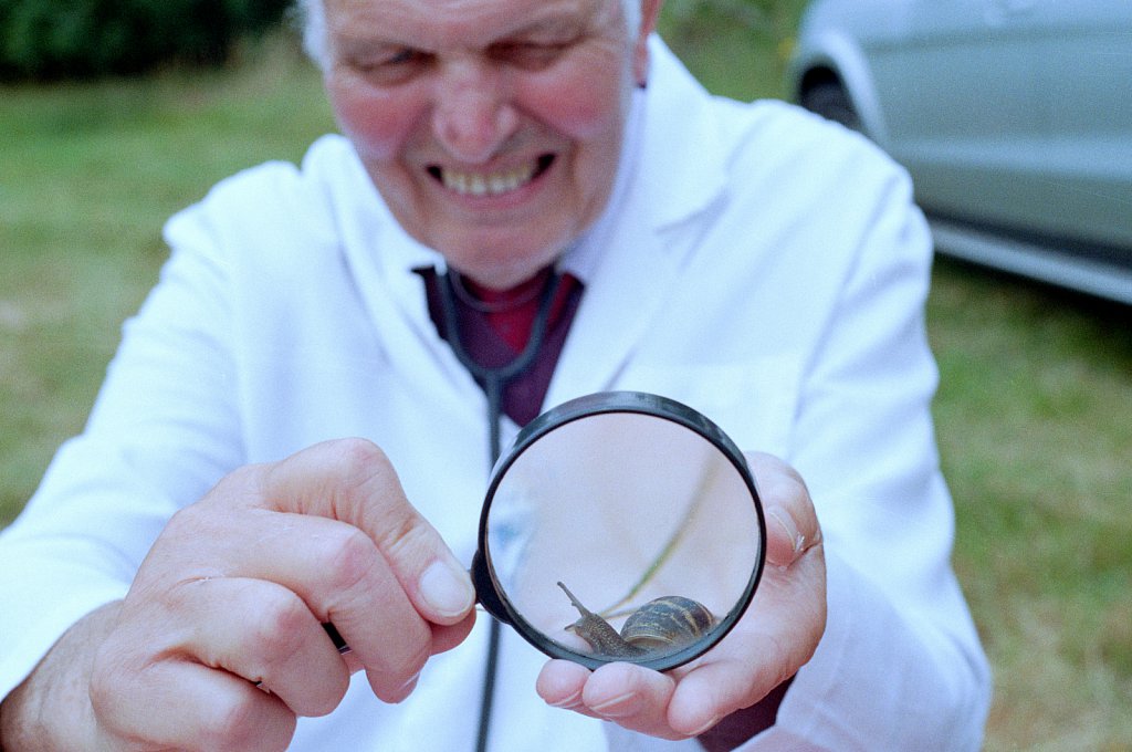  The World Snail Racing Championships.