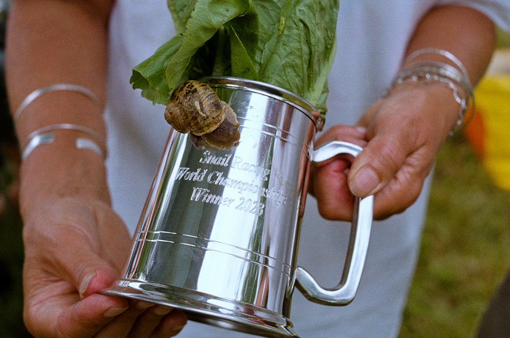  The World Snail Racing Championships.