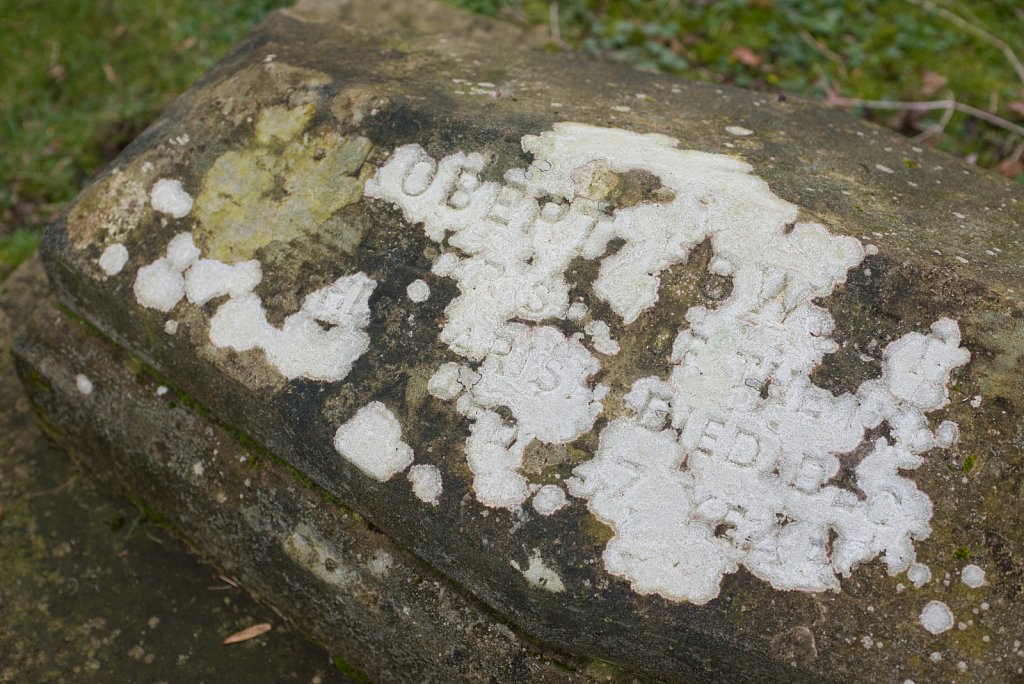 Robert Howlett Grave