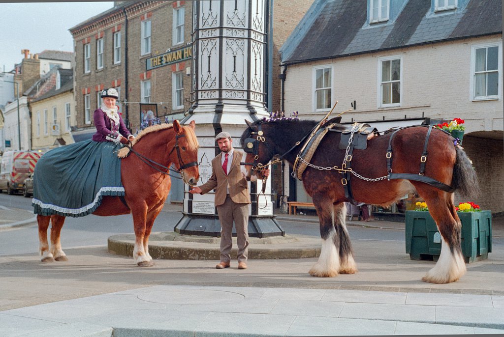 Barber-suffolk-punch-01.jpg