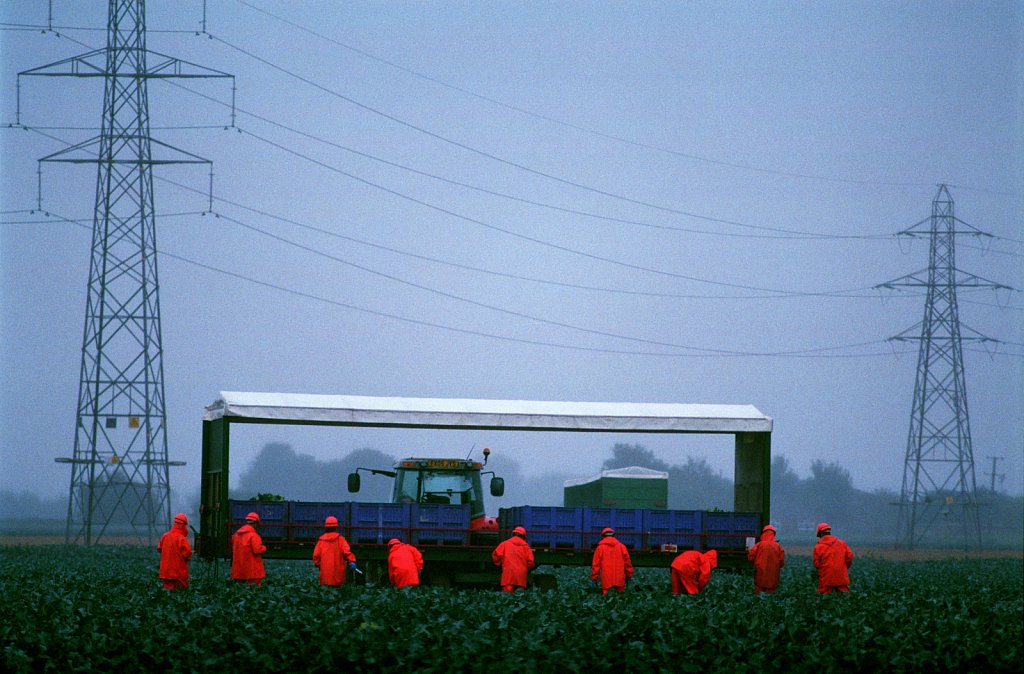 barber-migrant-farm-workers02.jpg