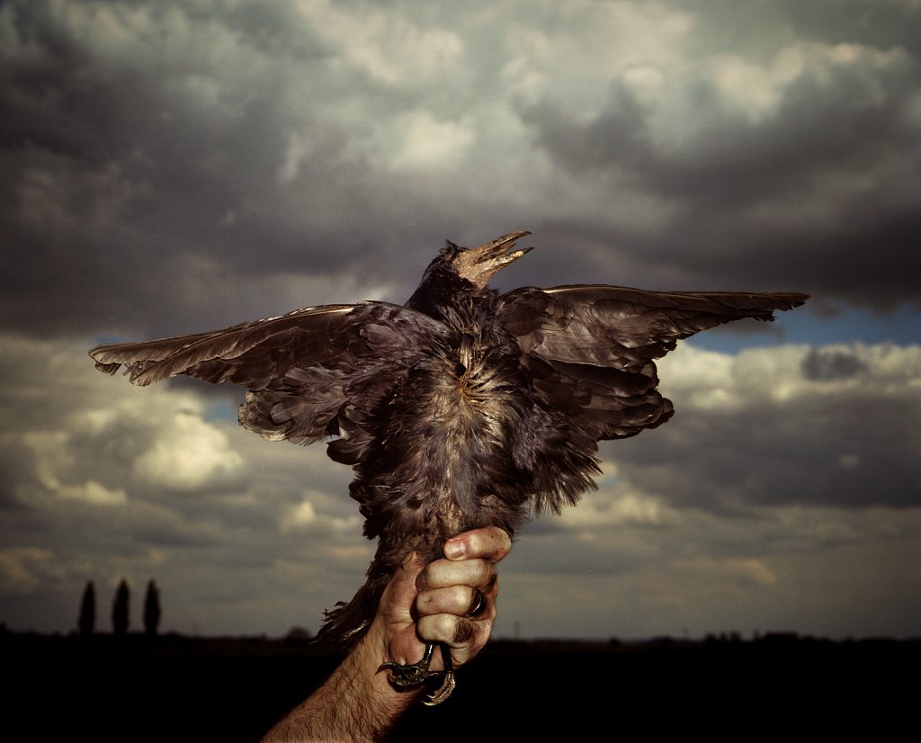 Image by Si Barber