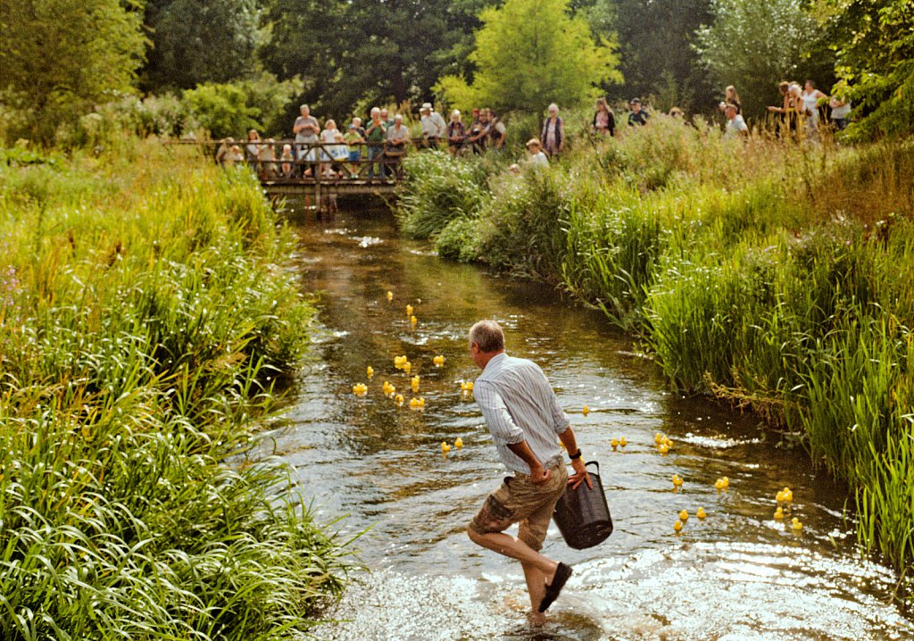 Duck racing at West Acre.